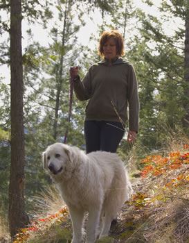 Walking a dog in the woods